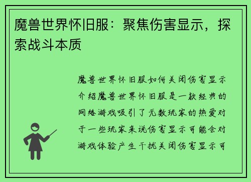 魔兽世界怀旧服：聚焦伤害显示，探索战斗本质